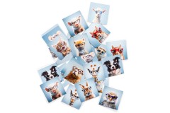 Lentiamo atmiņas spēle (bonuss)