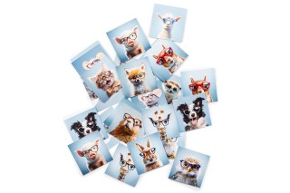 Lentiamo atmiņas spēle (bonuss)