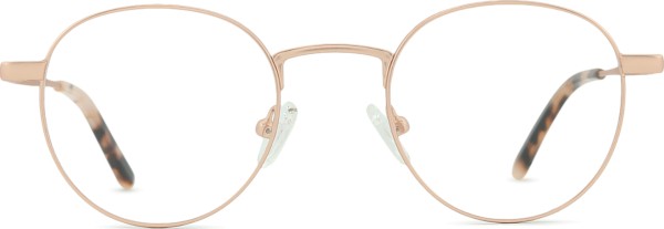 Centrostyle F 0539 48 043 000 48 (клипсы)