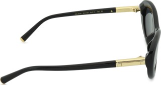 Dolce & Gabbana 0DG 4519 501/87 54 45107