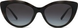 Emporio Armani EA 4213U 50171W 53 (uzliekamās) 36744