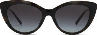 Emporio Armani EA 4213U 50171W 53 (uzliekamās) 36744