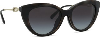 Emporio Armani EA 4213U 50171W 53 (uzliekamās) 36745