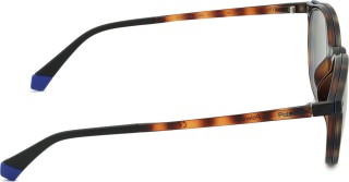 Polaroid PLD 6137/CS 086 SP 52 (клипса) 39650