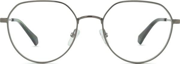 Polaroid PLD 6204/CS V81 54 (клипсы)