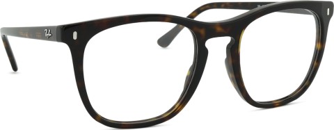 Ray-Ban 0RX2210V 2012 53