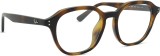 Ray-Ban 0RX7259D 2012 52