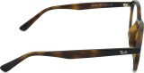Ray-Ban 0RX7259D 2012 52 37657