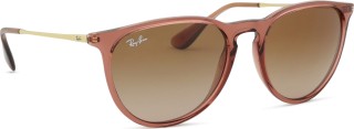 Ray-Ban Erika RB4171 659013 54