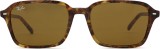 Ray-Ban Raimond RB2231 141833 37456