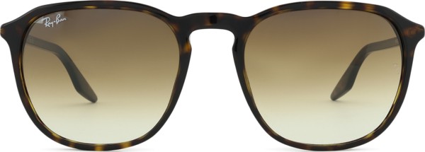 Ray-Ban RB2203 902/51