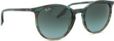 Ray-Ban RB2204 1394GK 54