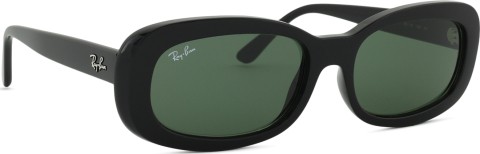 Ray-Ban RB2221 901/31