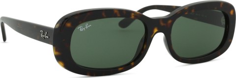Ray-Ban RB2221 902/31