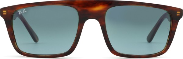 Ray-Ban RB2222 954/3M 57