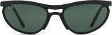 Ray-Ban RB4453 601S71 59 37412