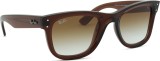 Ray-Ban Wayfarer Reverse RBR0502S 6709CB