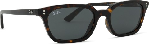 Ray-Ban Zaya RB4456 135987 53